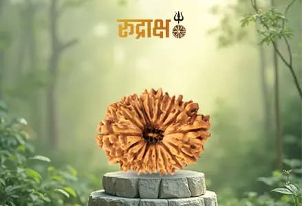 21 mukhi rudraksha
